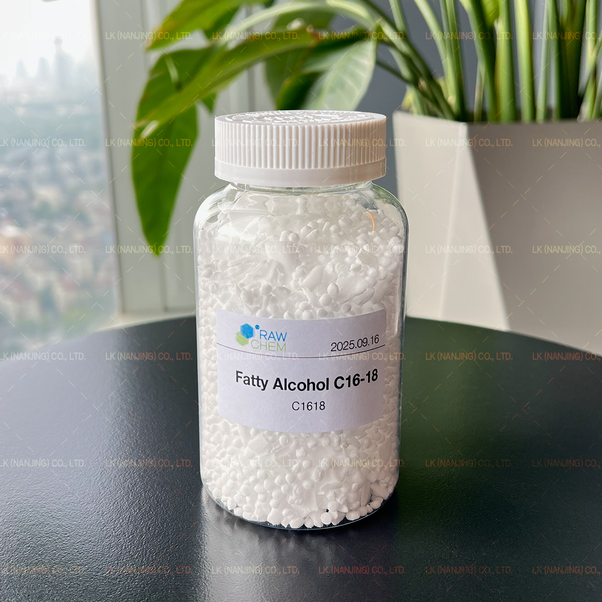 C16-18白色甲壳的葡萄酒