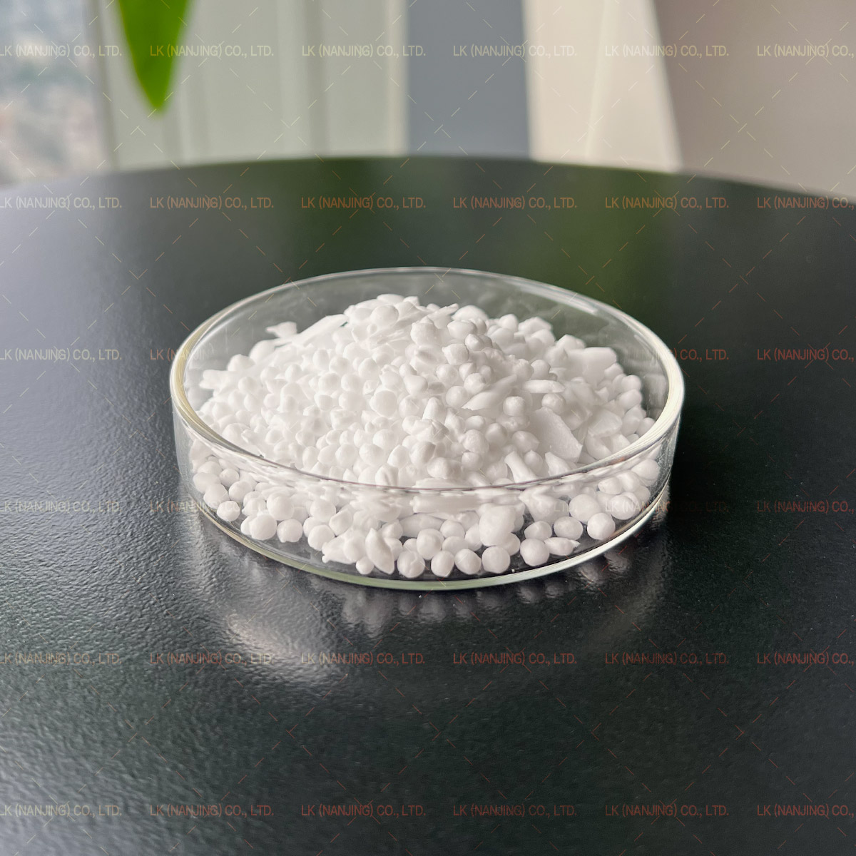 C16-18白色甲壳的葡萄酒